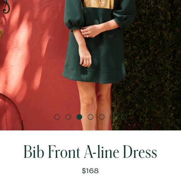 NWOT BURU Bib Front A-line Dress Rose Dress with pockets - Picture 6 of 16